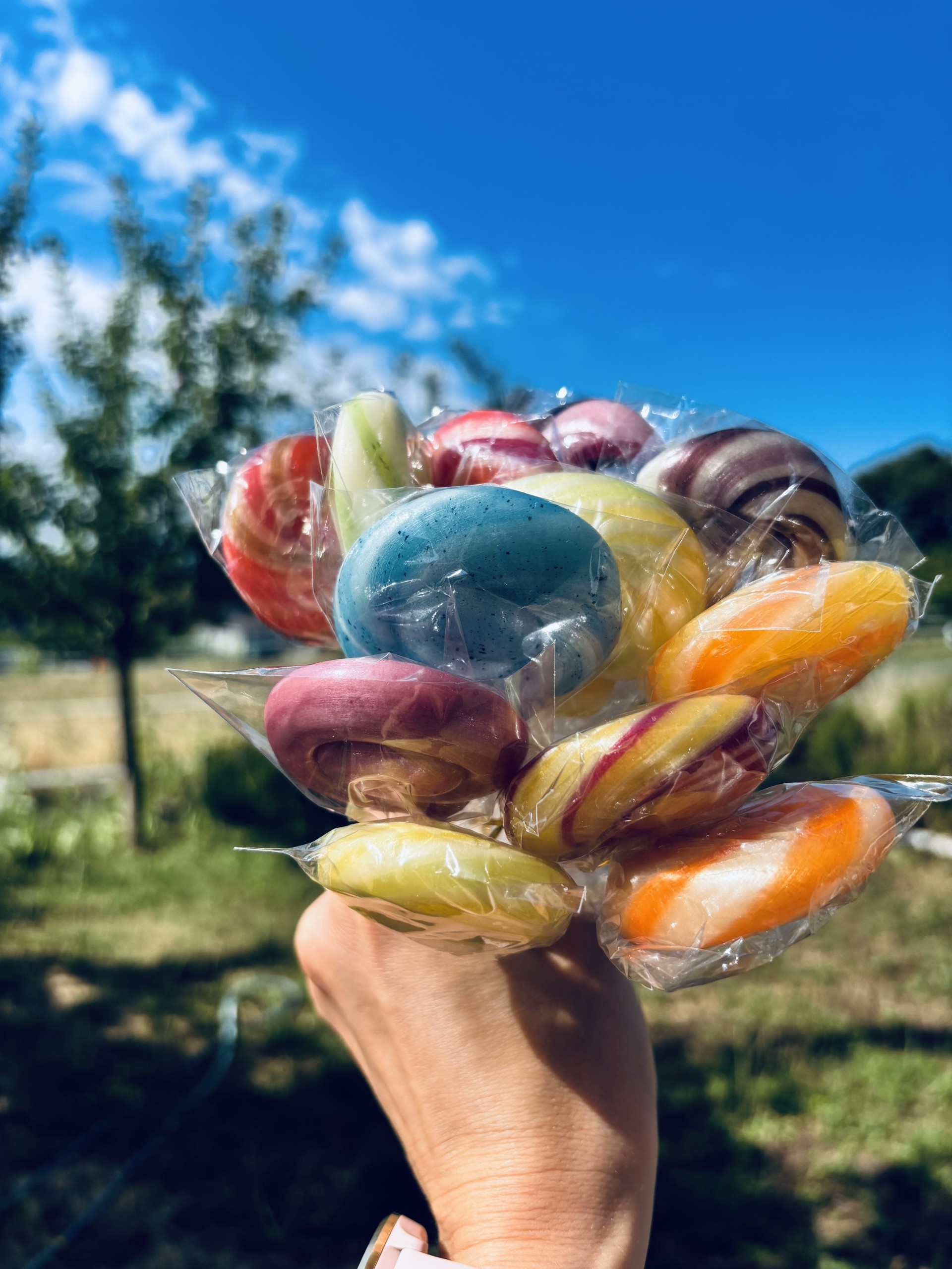 Bunte Lollies