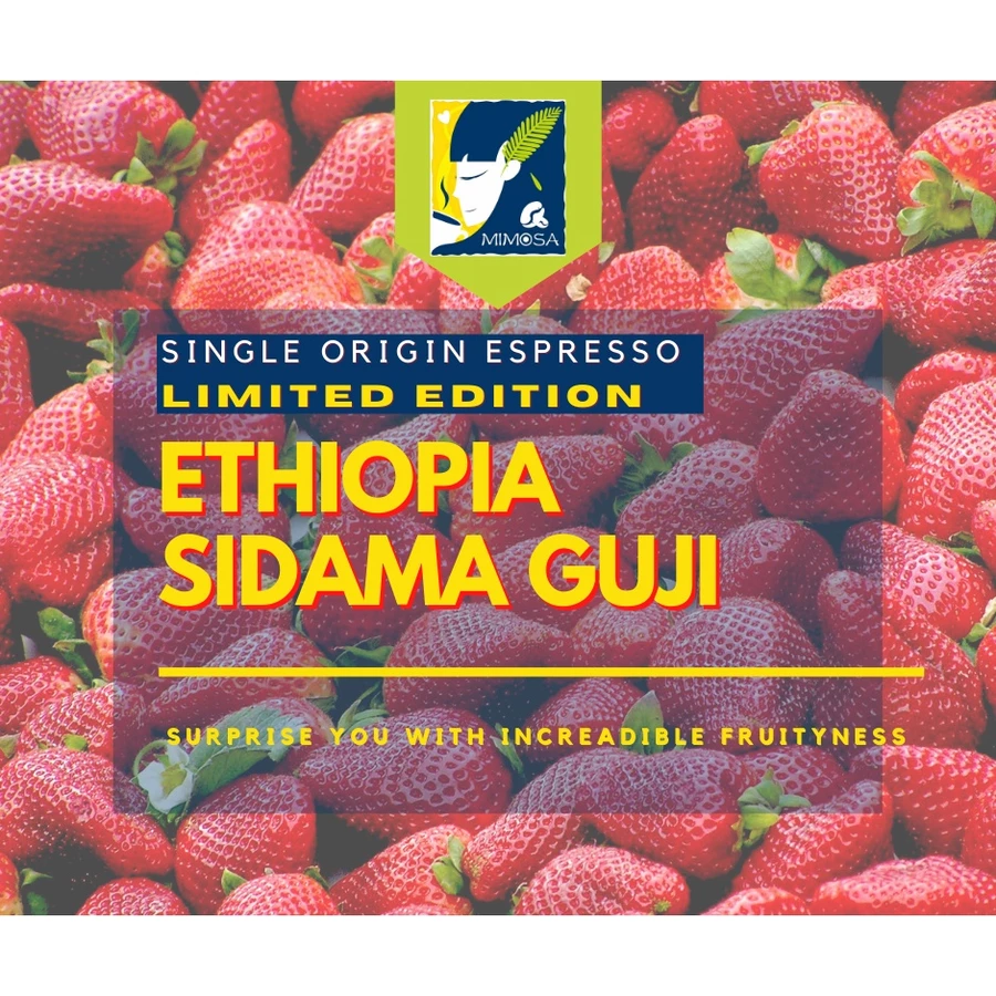 Ethiopia Sidama Guji Single Origin Espresso