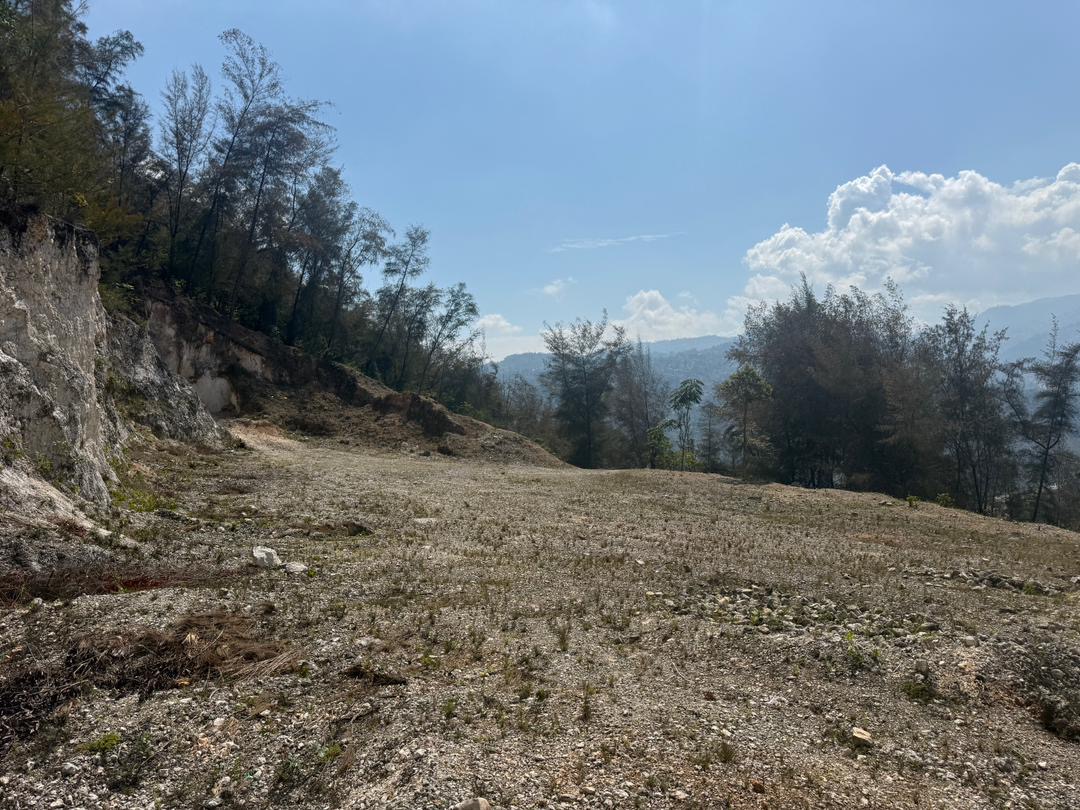 🏡 TERRAIN À VENDRE – TARAS 🏡 📍 𝓟𝓸𝓻𝓽-𝓪𝓾-𝓟𝓻𝓲𝓷𝓬𝓮 📍