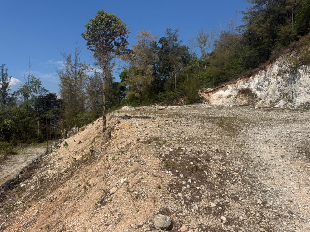 🏡 TERRAIN À VENDRE – TARAS 🏡 📍 𝓟𝓸𝓻𝓽-𝓪𝓾-𝓟𝓻𝓲𝓷𝓬𝓮 📍