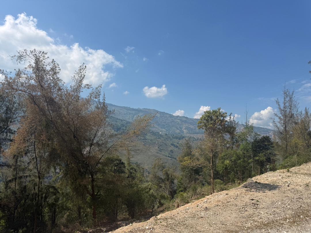 🏡 TERRAIN À VENDRE – TARAS 🏡 📍 𝓟𝓸𝓻𝓽-𝓪𝓾-𝓟𝓻𝓲𝓷𝓬𝓮 📍