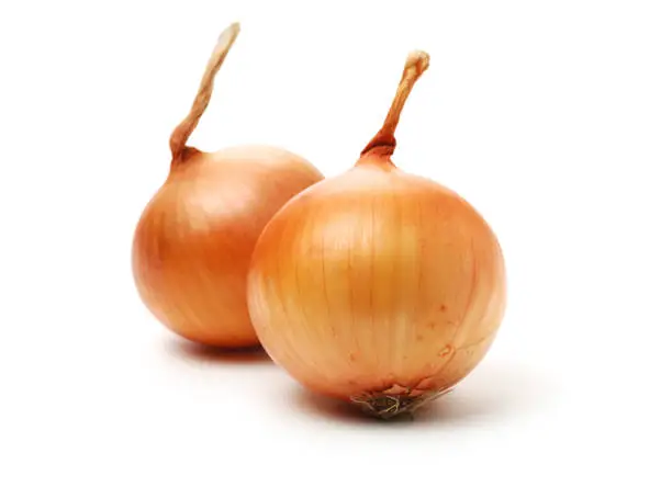 Fresh Yellow Onions