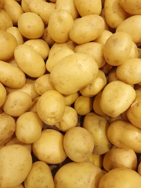 Fresh Potatoes